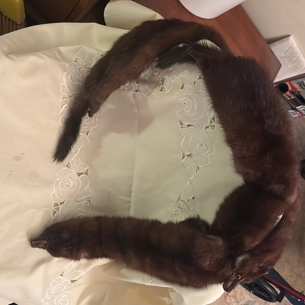 Full Mink Body - 30s Era